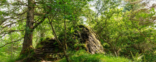 Signal Rock Signal Rock